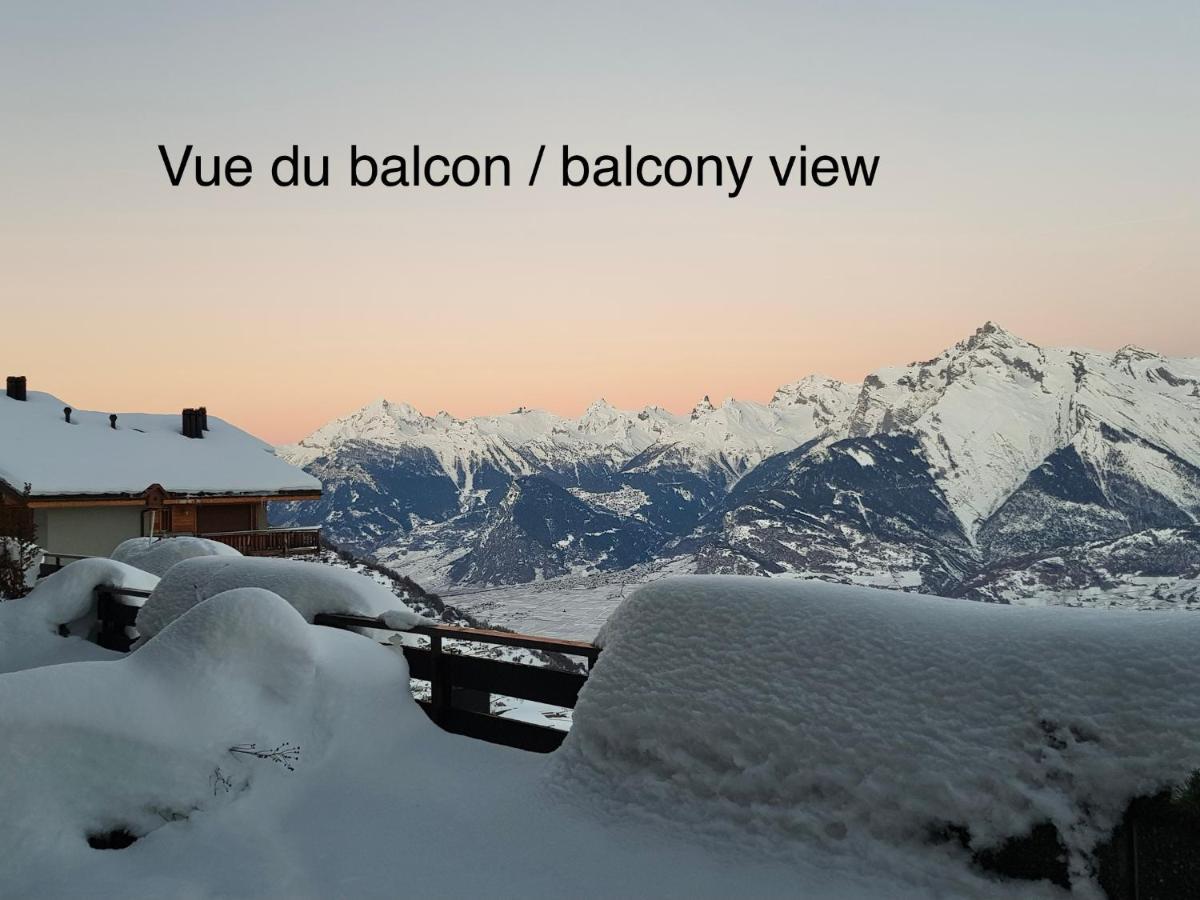 Studios Bellevue 1 Et 2, Ski Lift 150M Вейзона Экстерьер фото