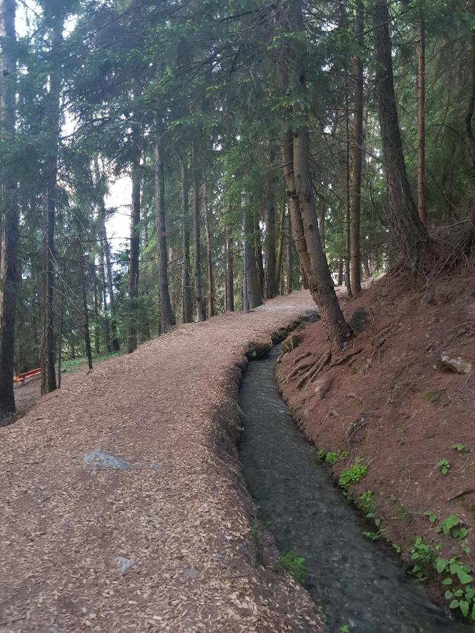 Studios Bellevue 1 Et 2, Ski Lift 150M Вейзона Экстерьер фото