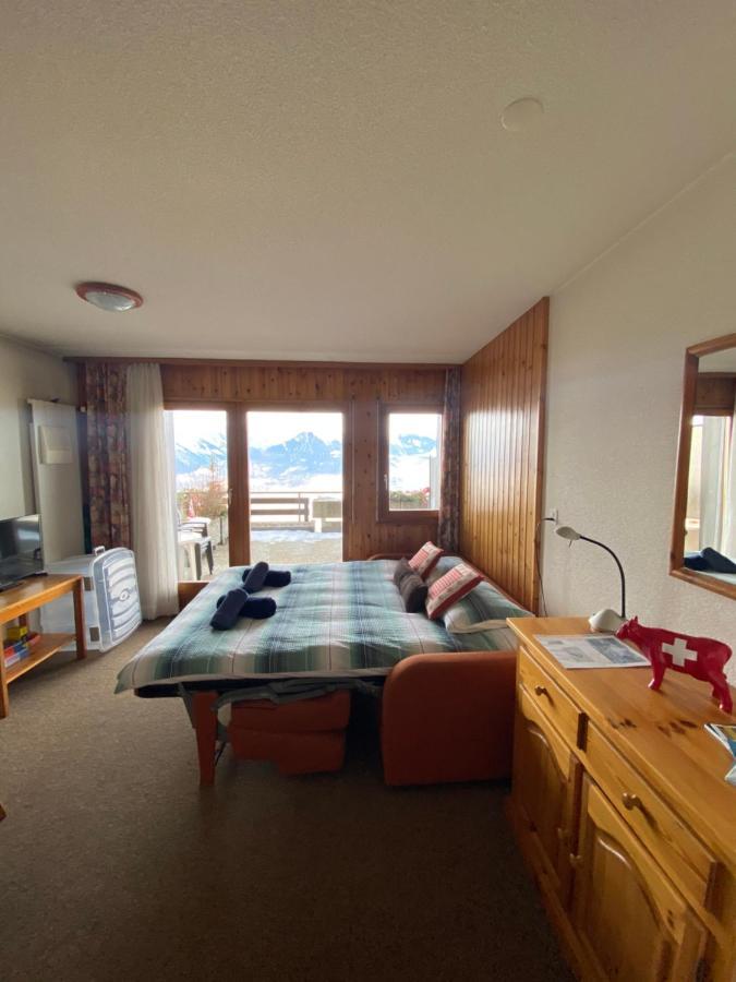 Studios Bellevue 1 Et 2, Ski Lift 150M Вейзона Экстерьер фото