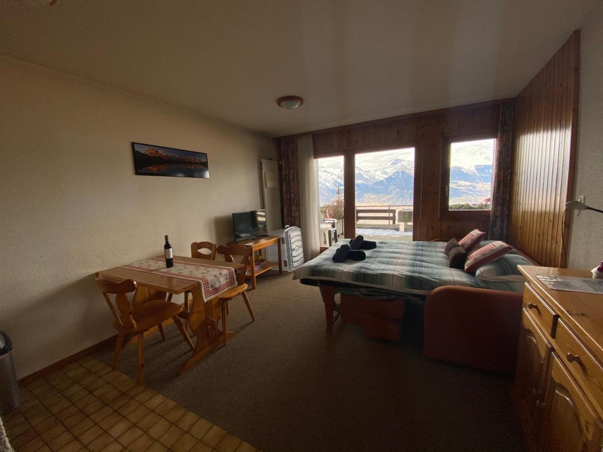 Studios Bellevue 1 Et 2, Ski Lift 150M Вейзона Экстерьер фото